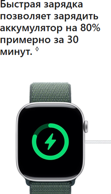 Умные часы Apple Watch Series 10 GPS 42mm / MWWK3 (розовое золото, сливовый плетеный ремешок)