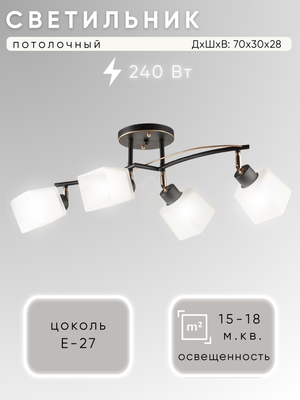 Спот Aitin-Pro НПБ 02-4x60-101 / 1338/4 (черный/золото) - 