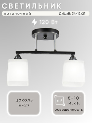 Потолочный светильник Aitin-Pro НПБ 02-2x60-101 / 5017/2 (черный/хром) -