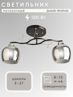 Потолочный светильник Aitin-Pro НПБ 02-2x60-101 / 8333/2B (черный/хром) -