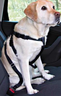Ремень безопасности для собак Trixie 1290 (S, черный) - общий вид