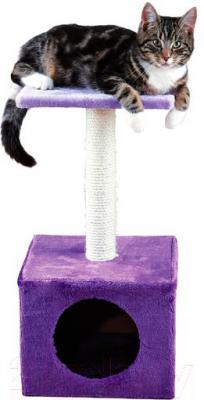 Комплекс для кошек Trixie Zamora 43357 (фиолетово-лиловый) - общий вид
