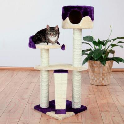 Комплекс для кошек Trixie Carla 44831 (бежево-фиолетовый) - общий вид