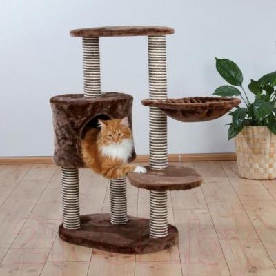 Комплекс для кошек Trixie Moriles 44620 (Brown) - общий вид