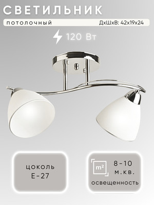 Потолочный светильник Aitin-Pro НПБ 02-2x60-101 / 8207/2 (хром) -