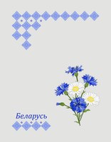 Набор полотенец Беларускі лён 46x60 24С112-ШР/рп/фкор/к. (17 Беларусь-3/сорт 1) - 