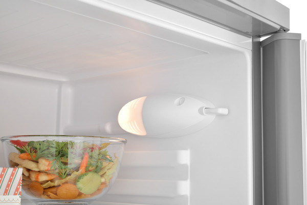 Купить Холодильник с морозильником Indesit ES 18 GA в Витебске