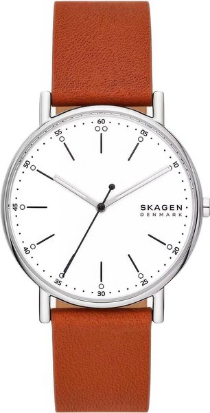 Часы наручные мужские Skagen SKW6903