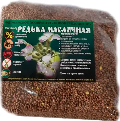 Сидерат GreenTerra Редька масличная (800г) - 