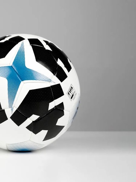 Футбольный мяч FN FIFA Quality Pro FN6021001-104 (р.5 белый/черный)