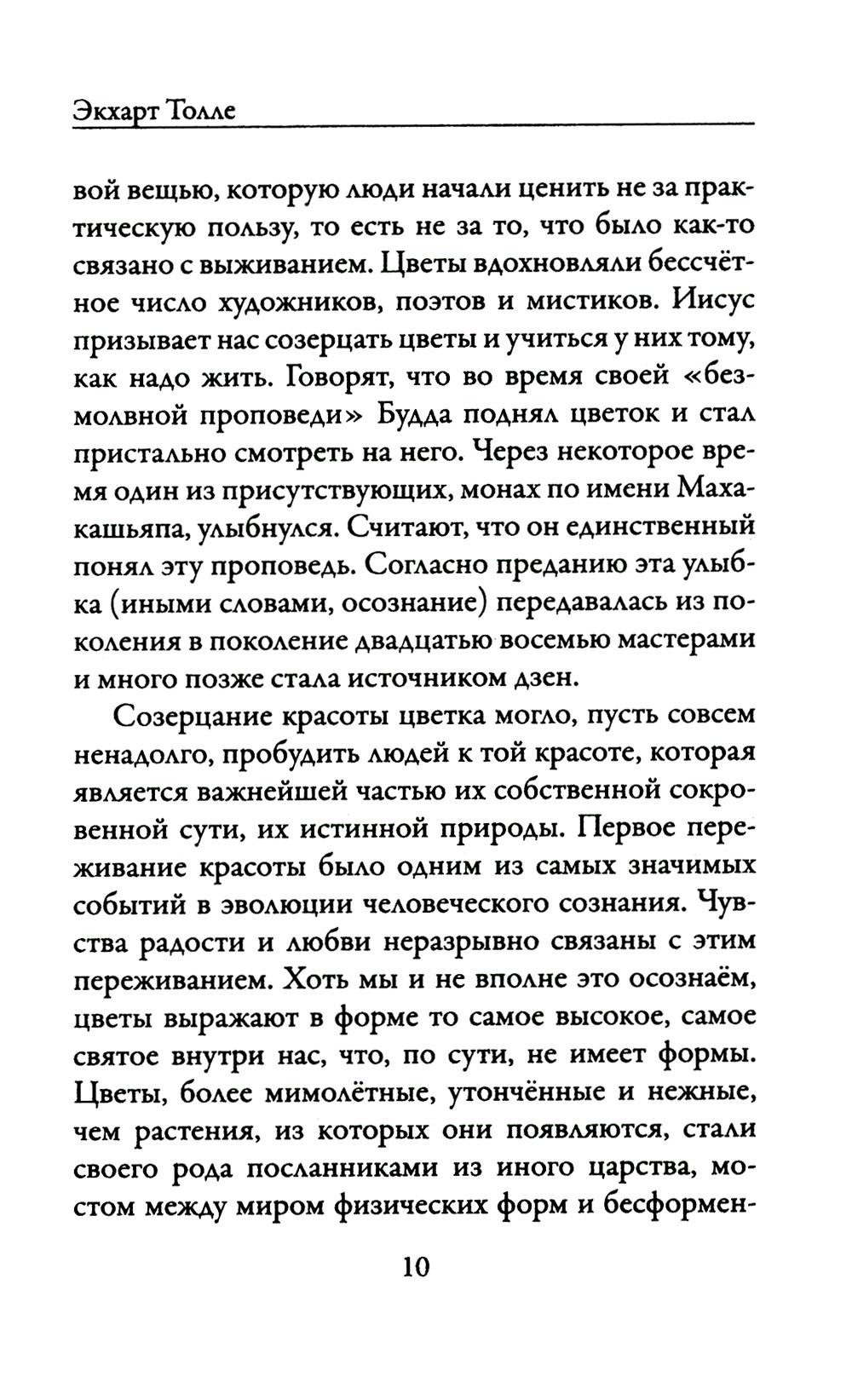 Нехудожественная книга Рипол Классик Новая земля. Пробуждение к своей жизненной цели, мягкая обложка (Толле Экхарт) — фото 3