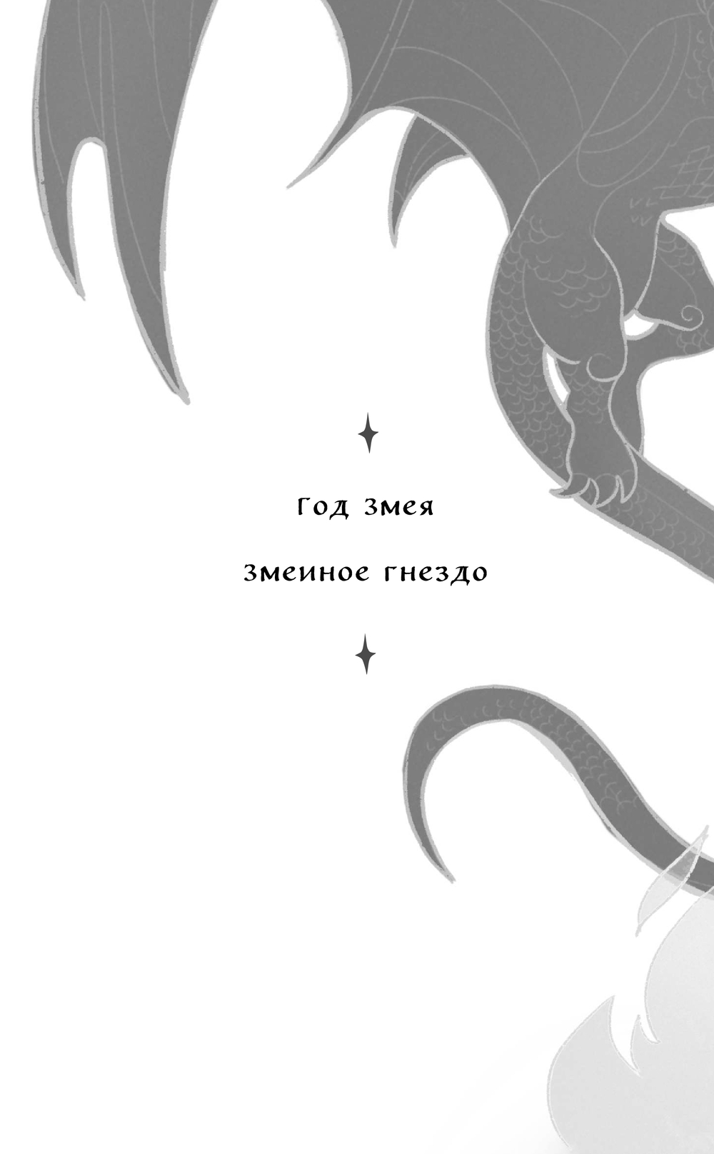 Художественная книга Черным-бело Змеиное гнездо, твердая обложка (Лехчина Яна) — фото 2