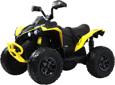 

Детский квадроцикл, BRP Can-Am Renegade Y333YY
