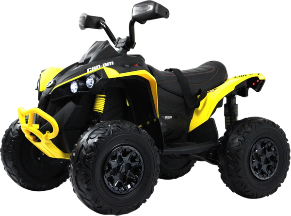 Детский квадроцикл RiverToys BRP Can-Am Renegade Y333YY