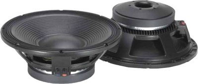 Динамик для профессиональной акустики Biema L1525 -
