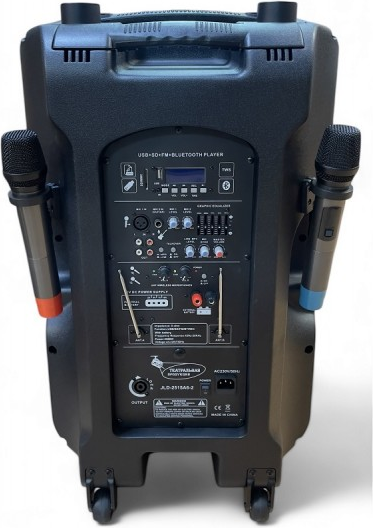 Сценический монитор Biema JLD-2515