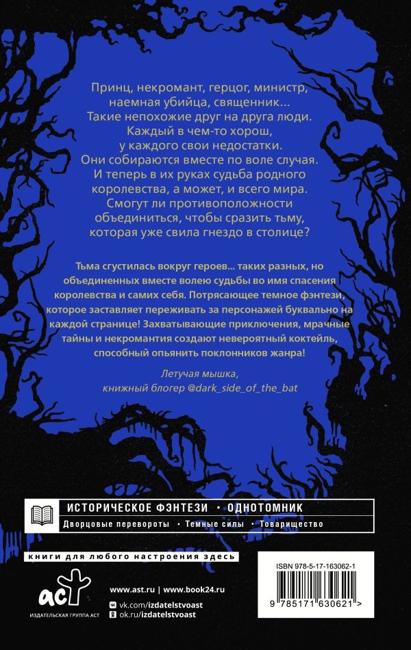 Художественная книга АСТ Сумерки Баригора, твердая обложка (Соломонова Софья) — фото 3