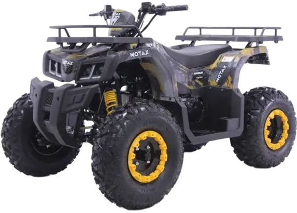 Квадроцикл Motax Grizlik T200