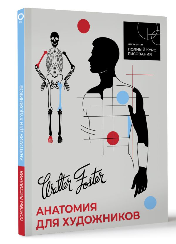 Нехудожественная книга АСТ Анатомия для художников, мягкая обложка (Walter Foster) — фото 2