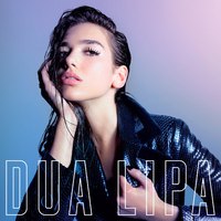 Виниловая пластинка Warner Music Dua Lipa - Dua Lipa LP (0190295908874) - 