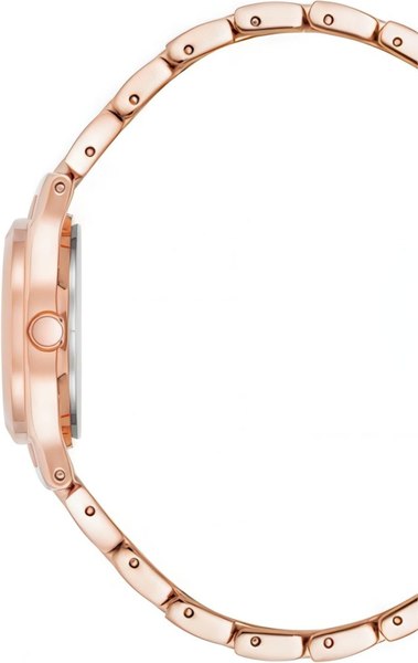 Часы наручные женские Anne Klein 10/5490MPRG