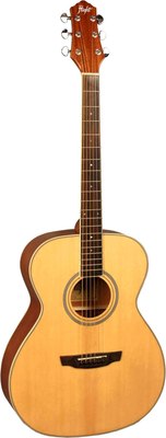 

Акустическая гитара, AG-210 NA