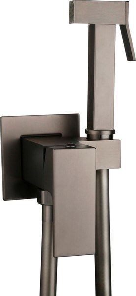 Гигиенический душ Roxen Caspia 500960-GM