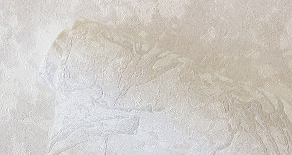 Виниловые обои Аспект 70510-12