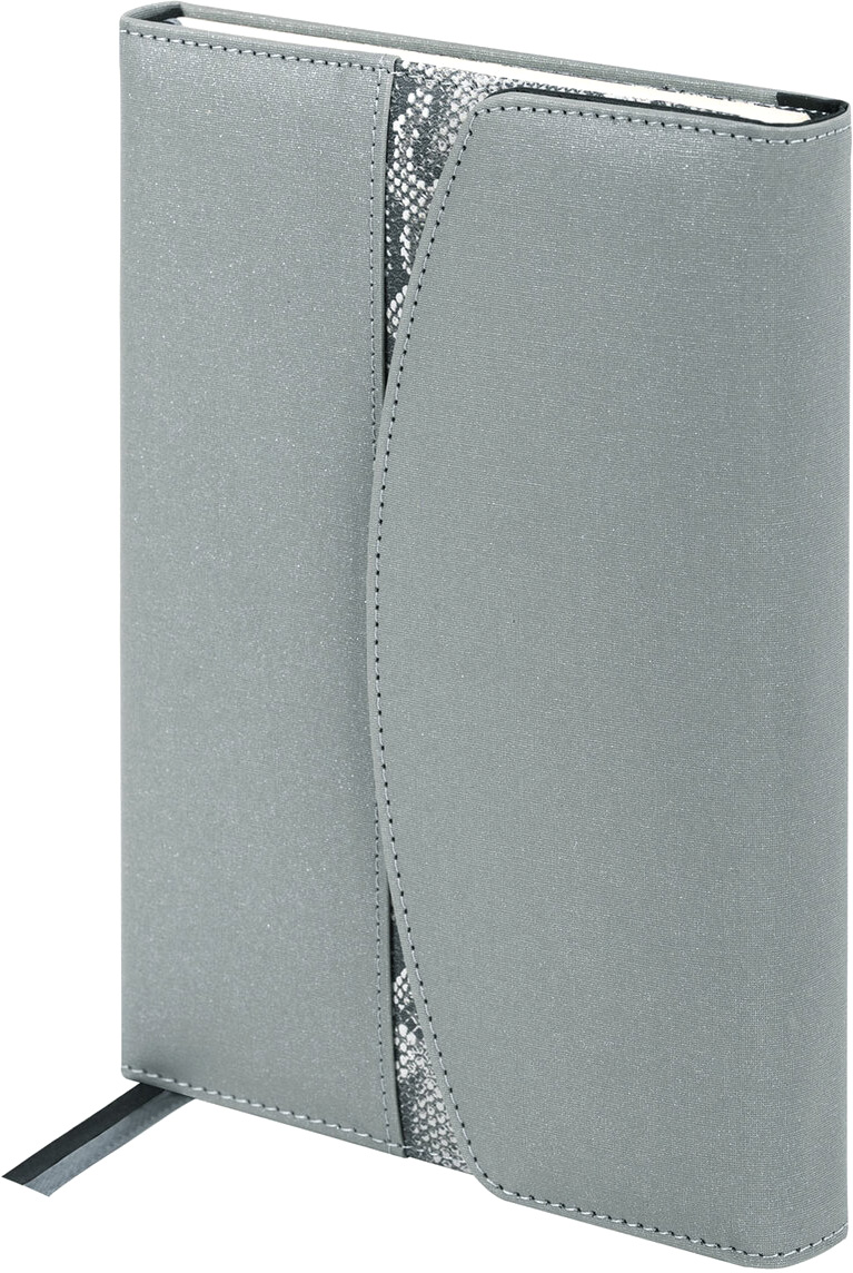 Ежедневник Brauberg 116234 (160л, серый)