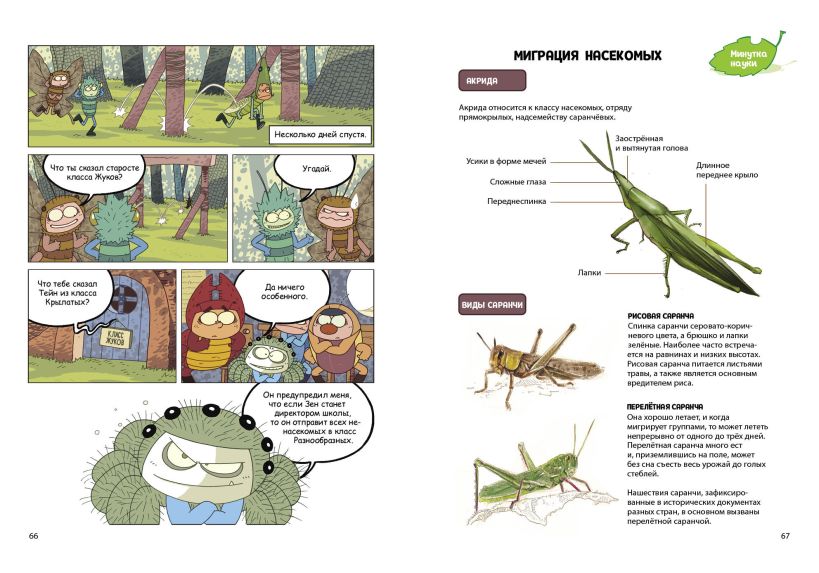 Комикс Эксмо НасеКомиксы. Происшествие в пчелином улье, мягкая обложка (У Сянминь) — фото 6