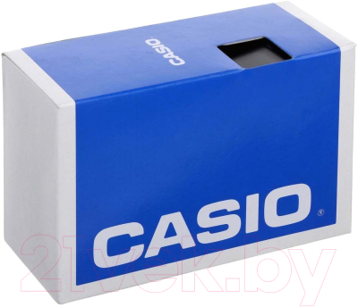 Часы наручные унисекс Casio B640WC-5AEF