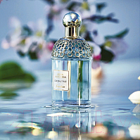 Туалетная вода Guerlain Aqua Allegoria Coconut Fizz (75мл)