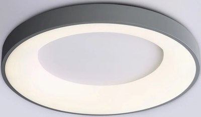

Потолочный светильник, Orbital FZ1402 GR