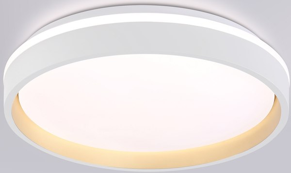 Потолочный светильник Ambrella Orbital FZ601 WH/GD