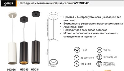 Потолочный светильник Gauss Overhead 12W 920lm 4100K 170-240V IP20 / HD034 (черный)