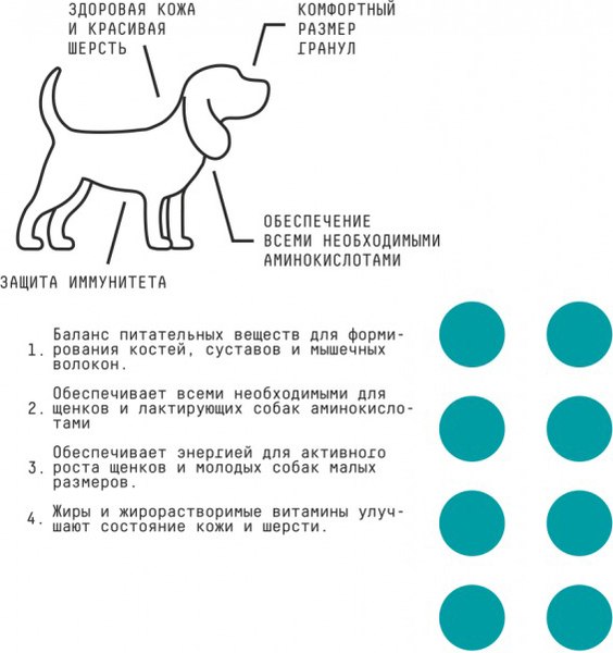 Сухой корм для собак AJO Dog Mini Puppy & Junior с гречкой для щенков малых пород (8кг)