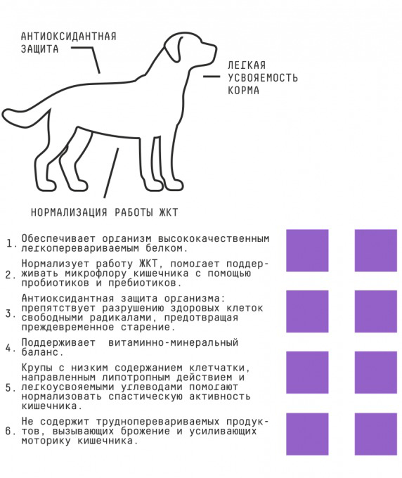 Сухой корм для собак AJO Dog Sense с гречкой для собак с чувствительным пищеварением (2кг) — фото 4