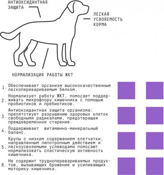 Сухой корм для собак AJO Dog Sense с гречкой для собак с чувствительным пищеварением (12кг)
