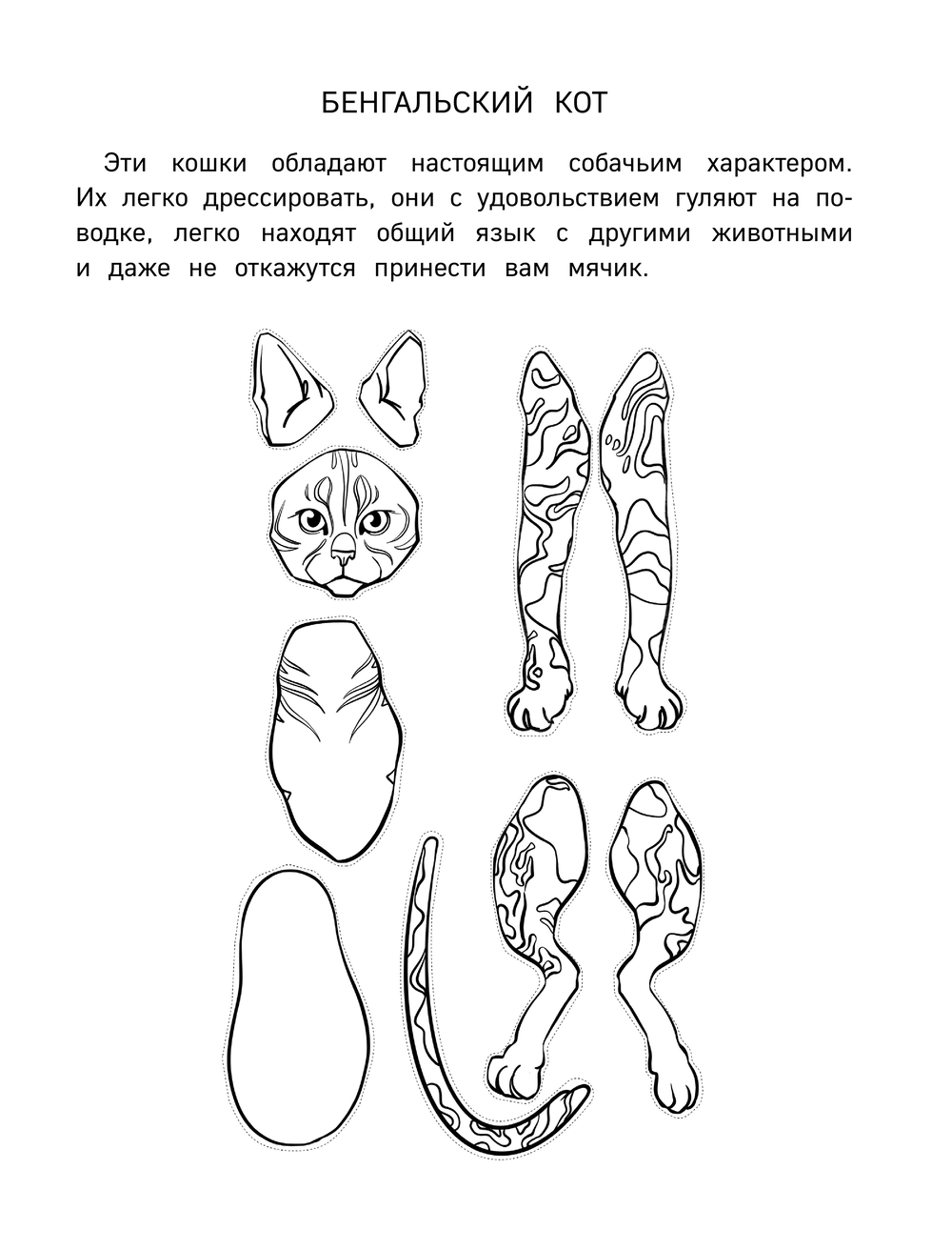 Нехудожественная книга Эксмо Бумажные котики. Вырежи, раскрась, играй. 12 готовых схем (Гончарова К.Э., мягкая обложка) — фото 2