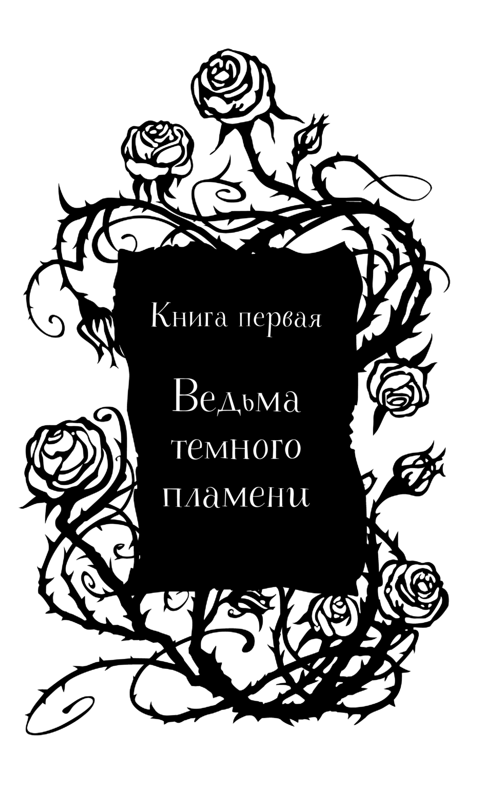 Художественная книга Эксмо Академия черного дракона, твердая обложка (Жильцова Наталья) — фото 5