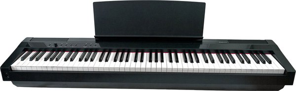 Цифровое фортепиано Solista DP125BK