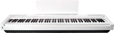 Цифровое фортепиано Solista DP125WH - 