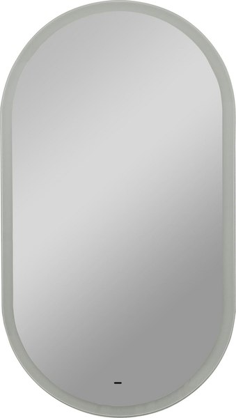 Купить Зеркало Континент Delight LED 55х100 в Молодечно