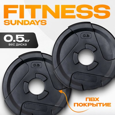 Набор дисков для штанги Sundays Fitness IR91041 (2х0.5кг) -