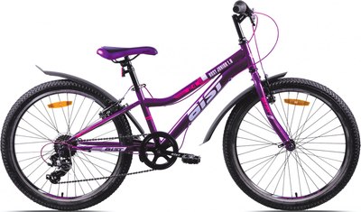 Велосипед AIST Rosy Junior 1.0 24 2024 (фиолетовый, разобранный, в коробке) - 
