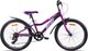 Велосипед AIST Rosy Junior 1.0 24 2024 (фиолетовый, разобранный, в коробке) - 