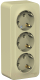 Розетка Systeme (Schneider) Electric Blanca BLNRA010317 - 