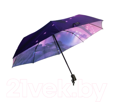 Зонт складной Ame Yoke RB 58 FS-1 (фиолетовый/мост)