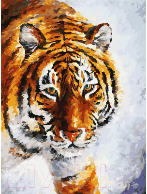 Картина по номерам БЕЛОСНЕЖКА Тигр на снегу / 780-AS