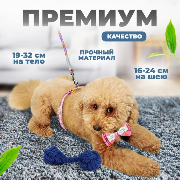 Шлея с поводком Solmax&Zoo MUZ99281 (розовый)